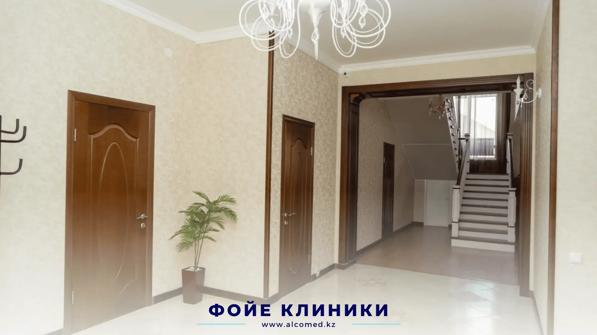 Фойе клиники Alcomed — входная зона и коридор